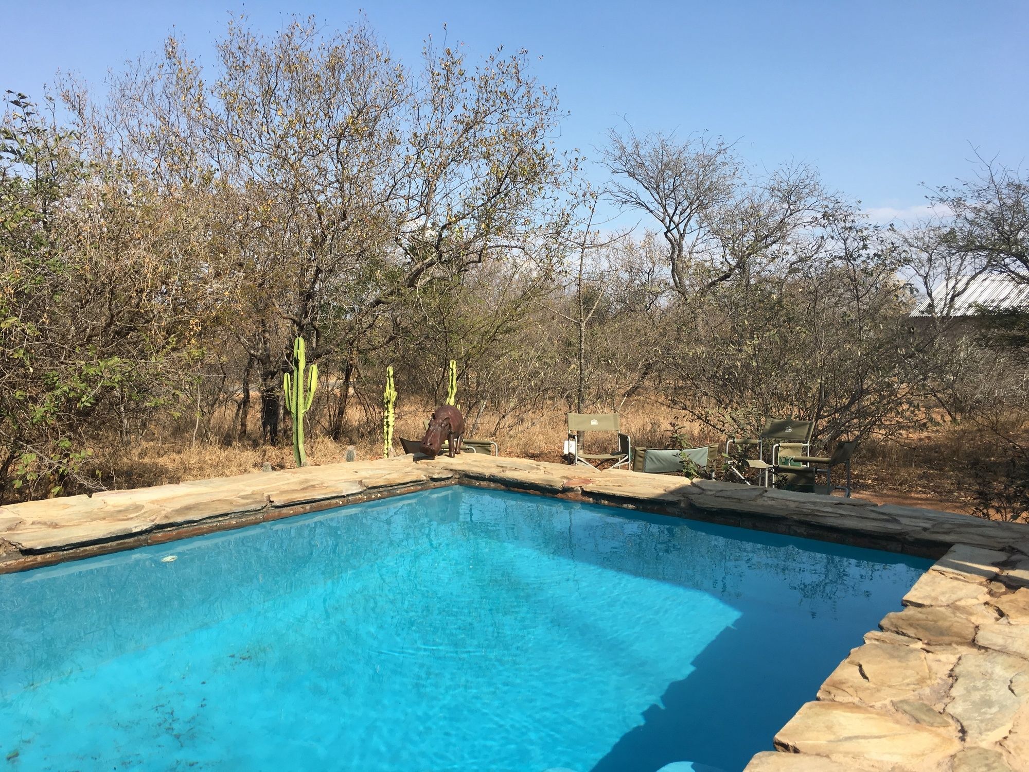 Giraffe Lodge Hoedspruit Exterior foto